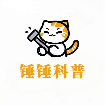 锤锤是只喵