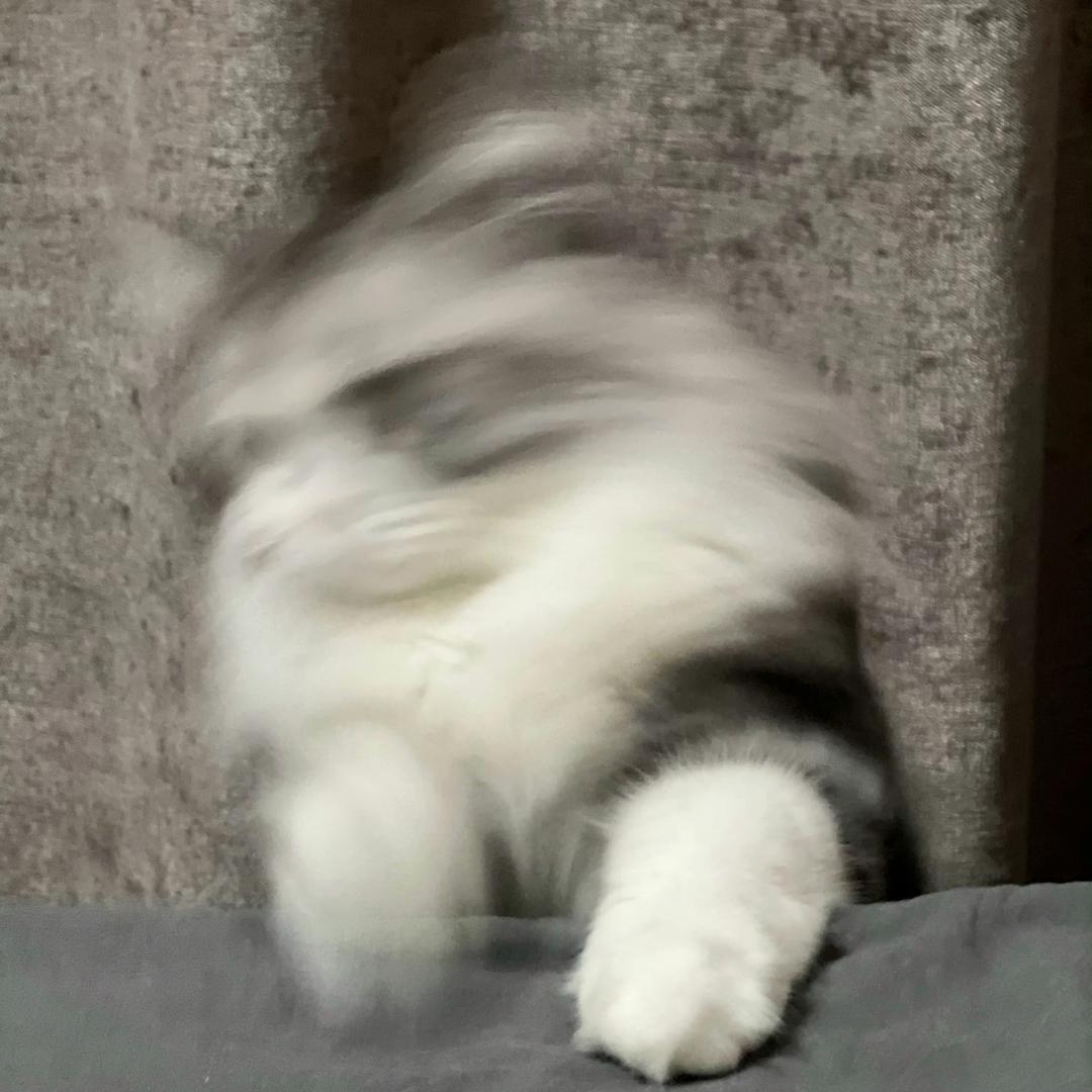 超想睡觉