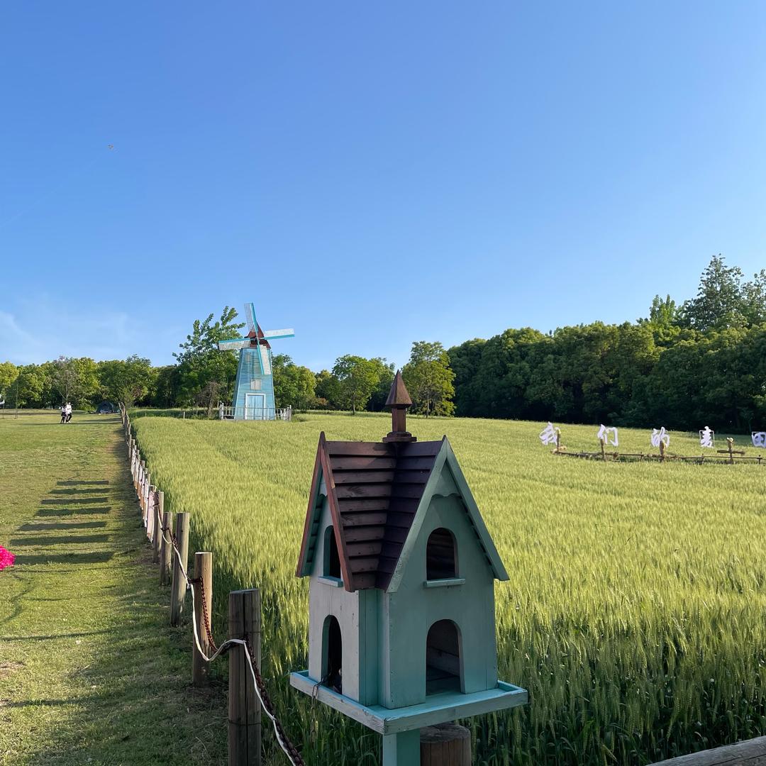小白装修日记🏠（硬装中）