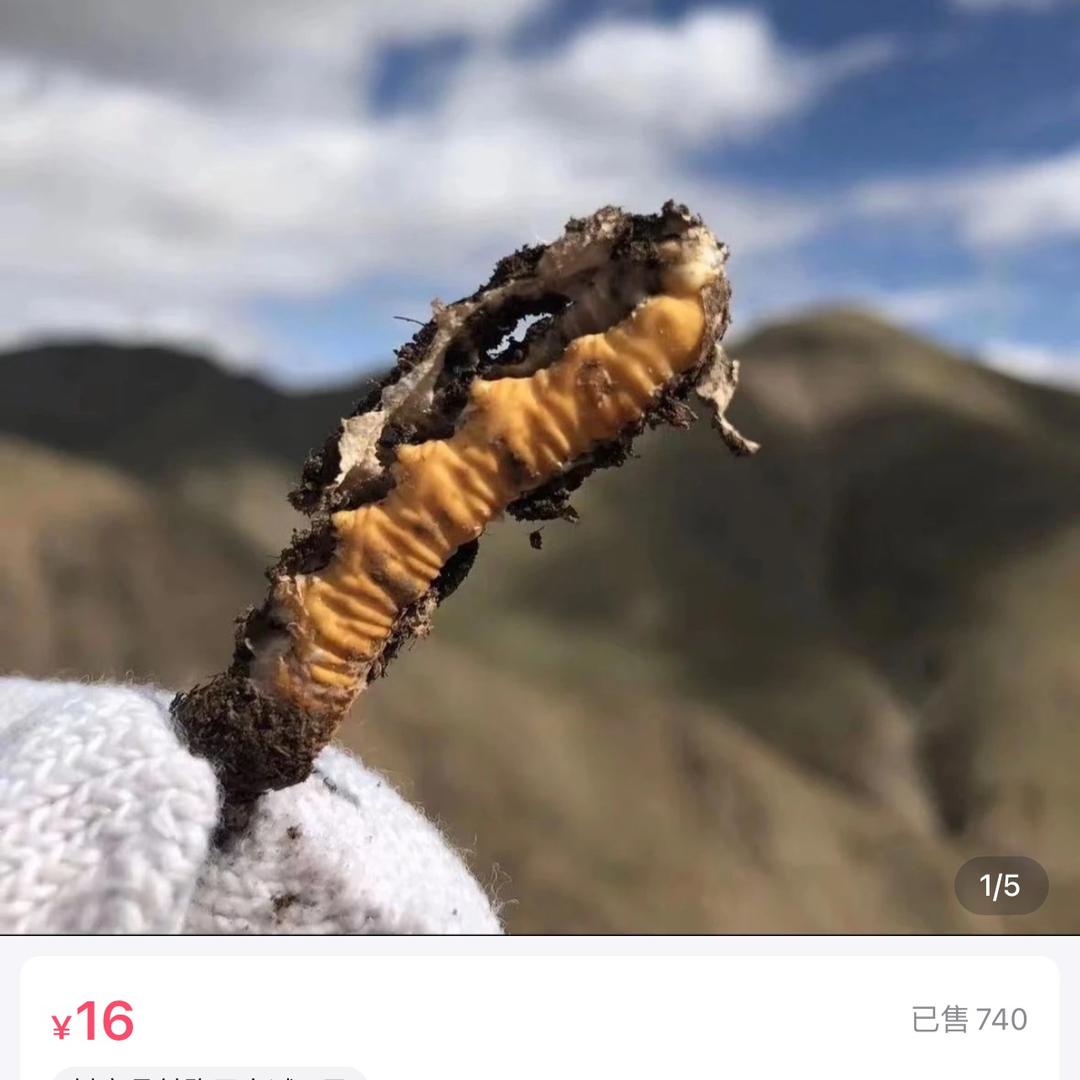 贵州佑伊盛贸易有限公司企业店