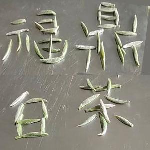 福鼎白茶鼎香茶业