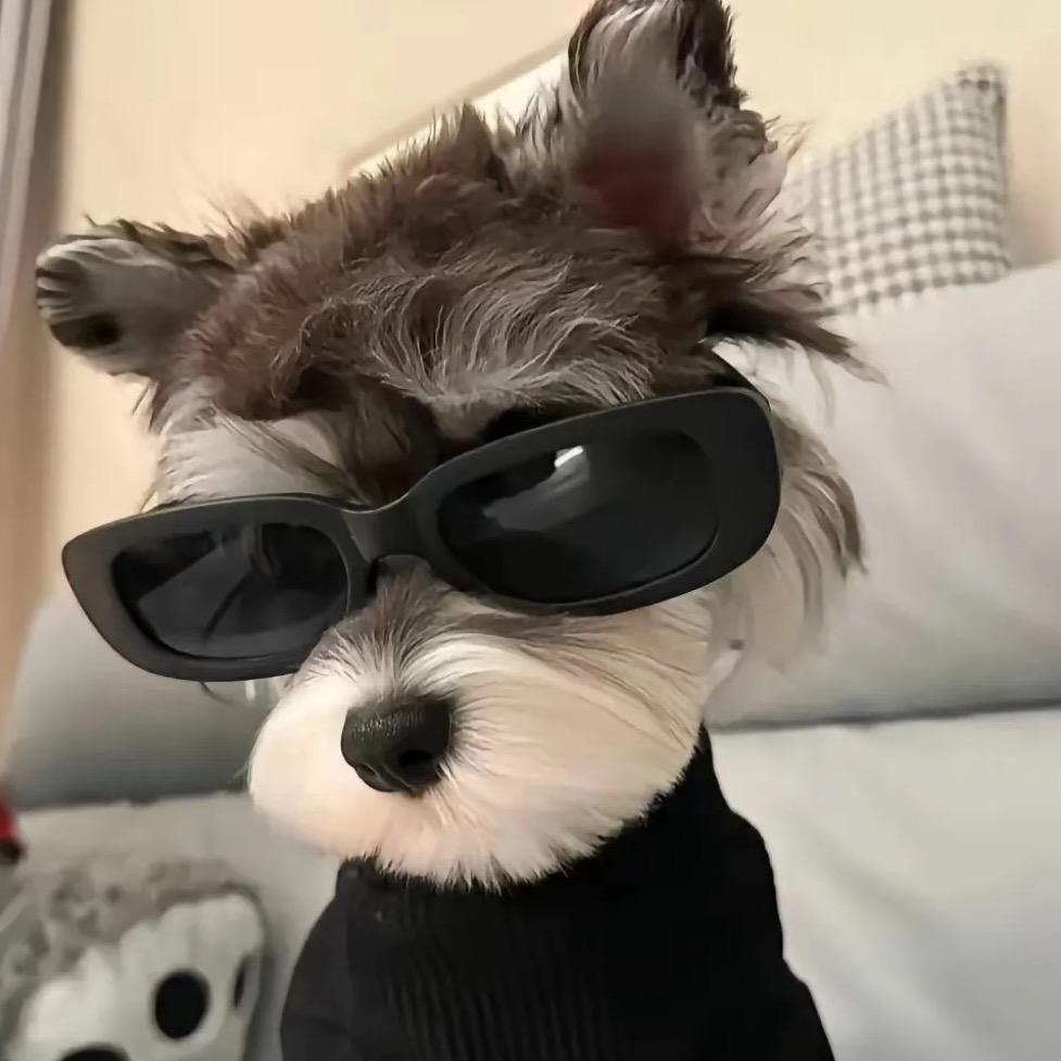 ❤️ 丑八怪网名