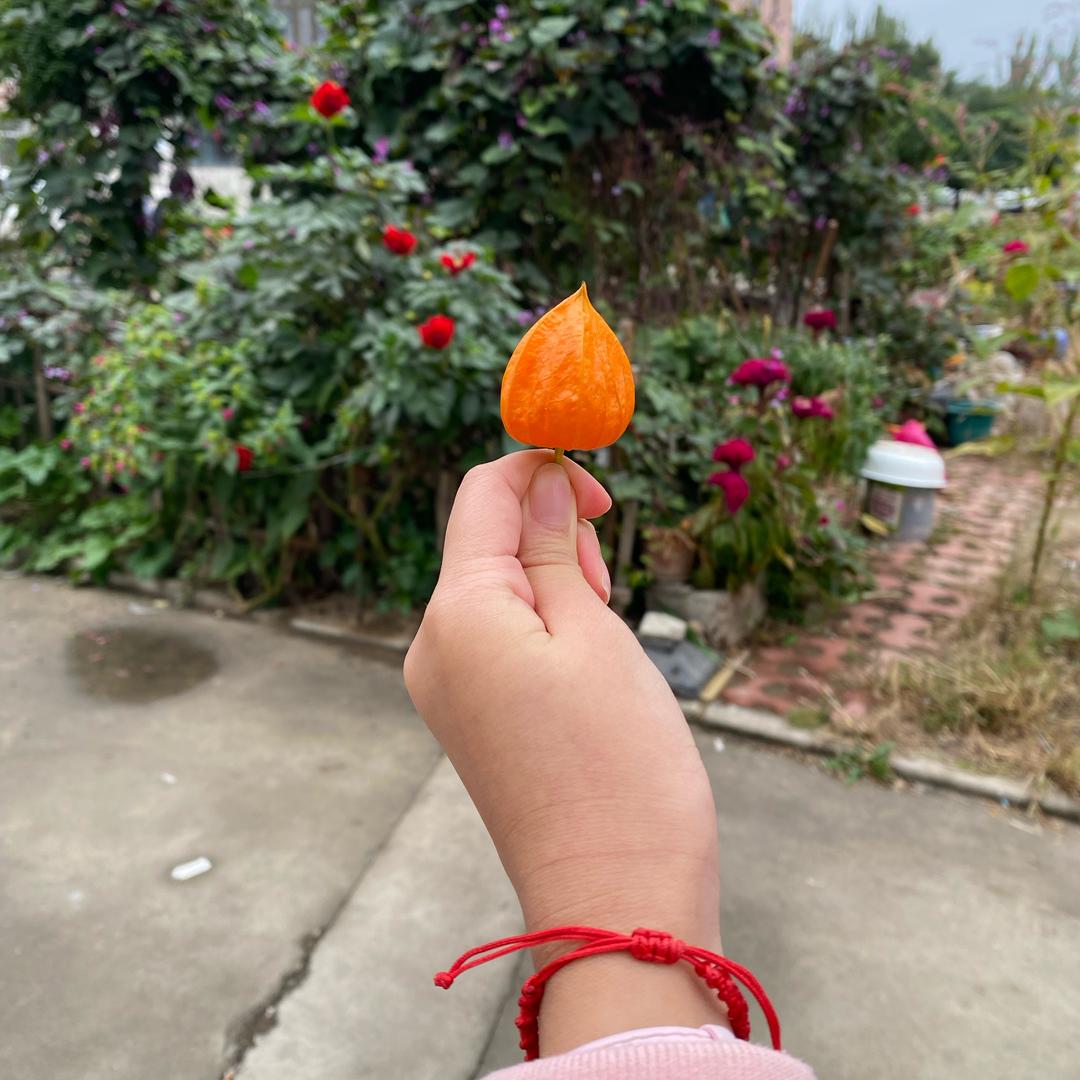 毅砺前行🌻