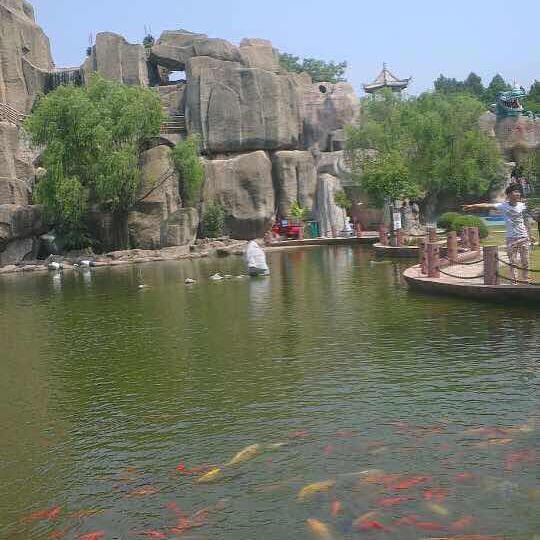 枝叶茂盛的树林