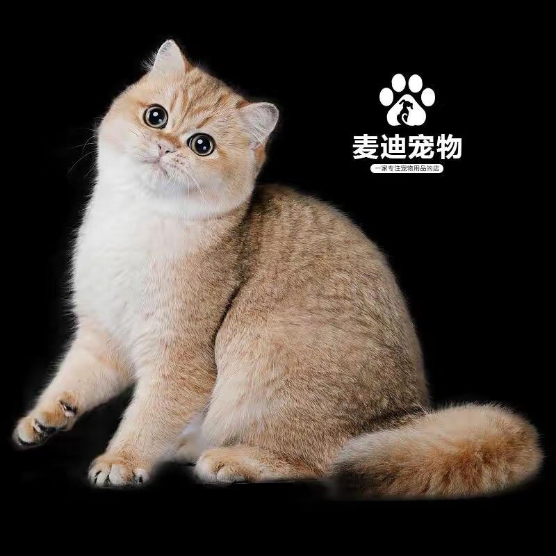 特萌宠物用品体验馆