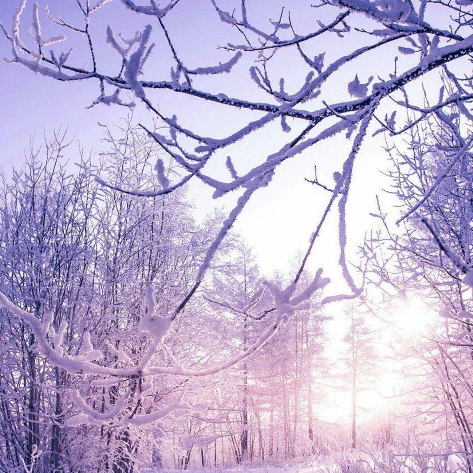 夏秋（看主页➕🌍）