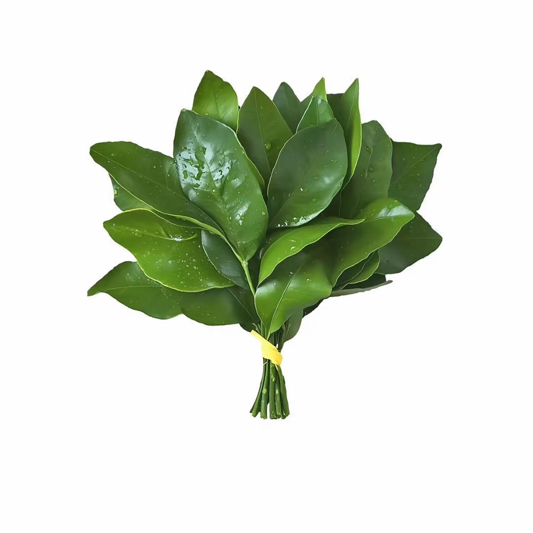 肥肥