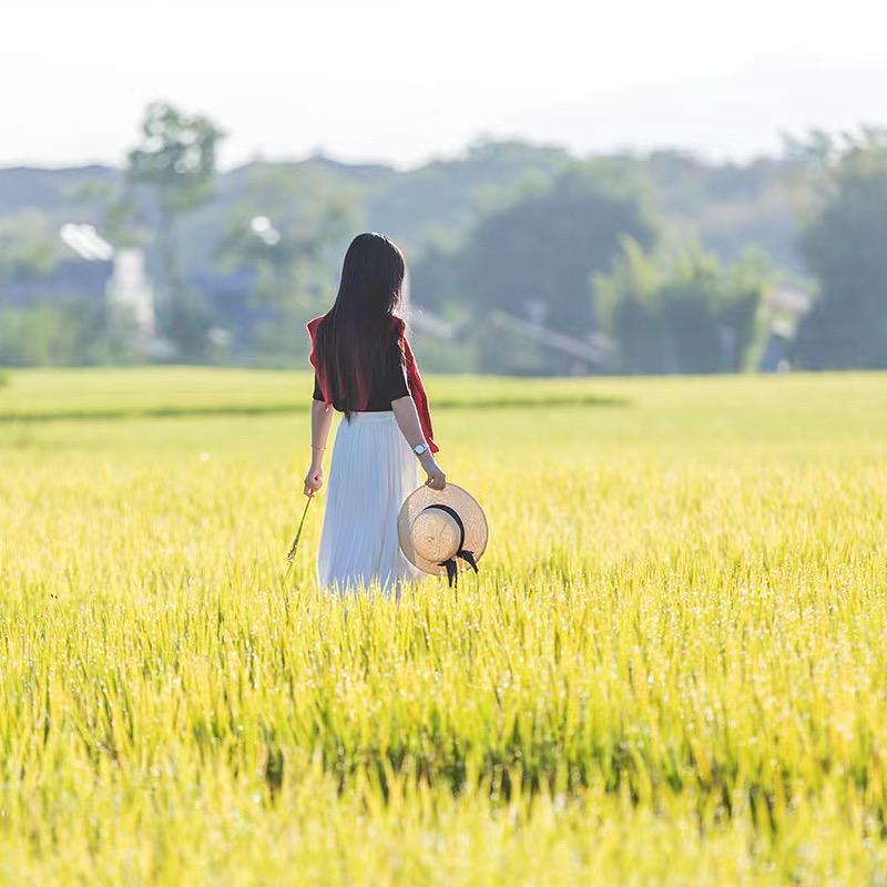 始兴中洲壹号田丽