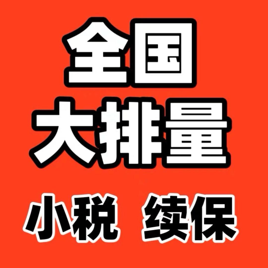 大排量车船税