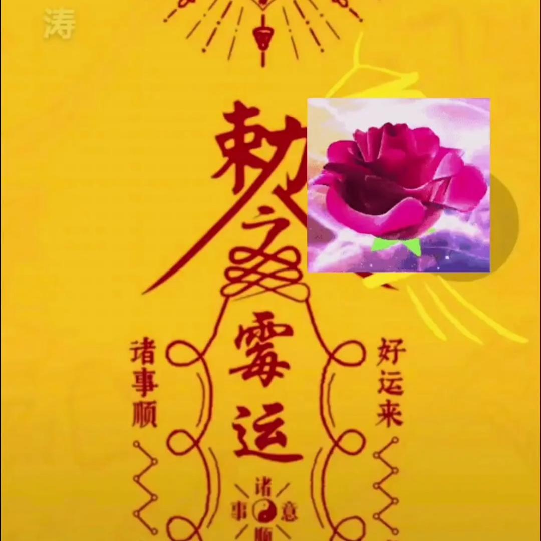 农村丁姐晩上11 点直播