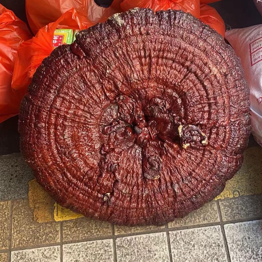 12354687