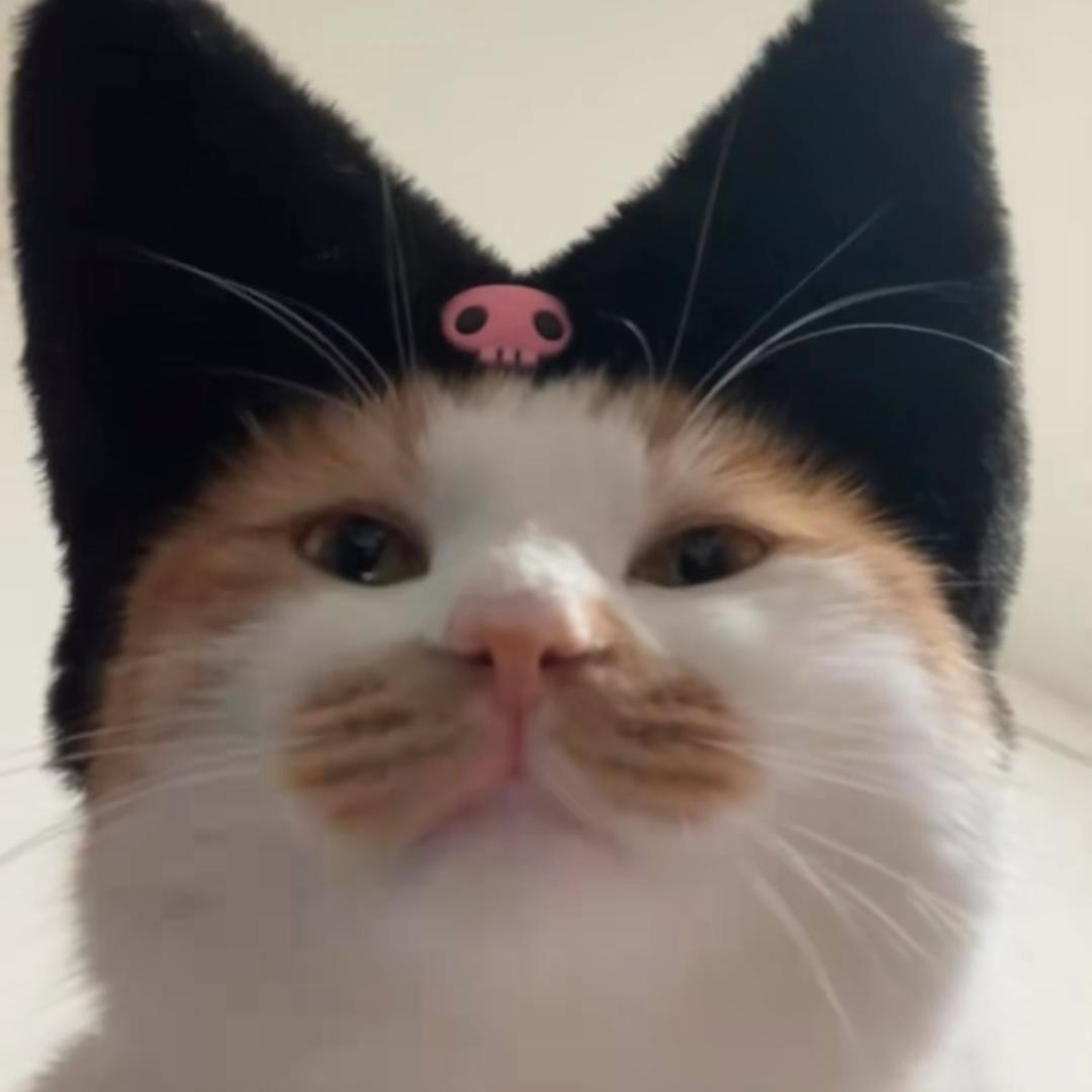 库洛米米（陪拍版