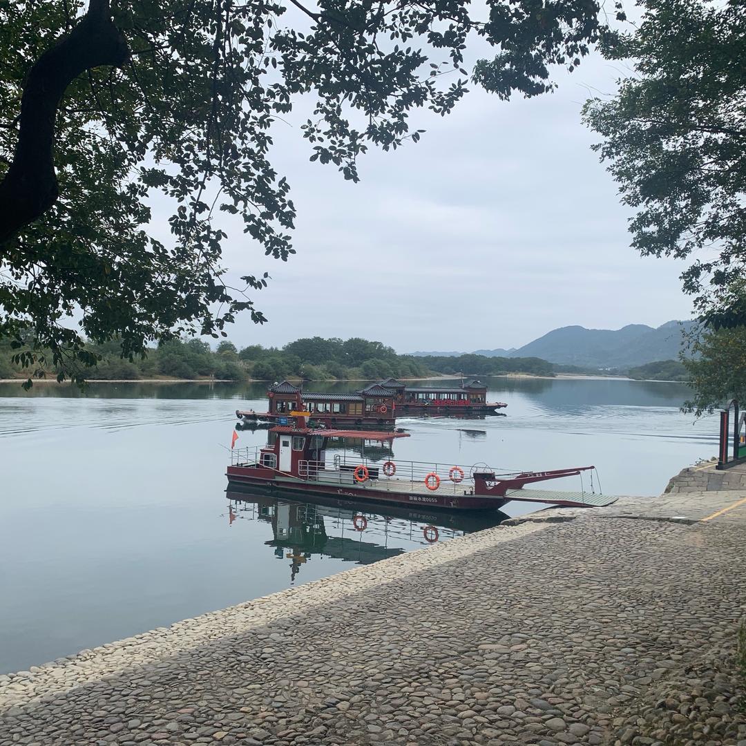 羅龍飛
