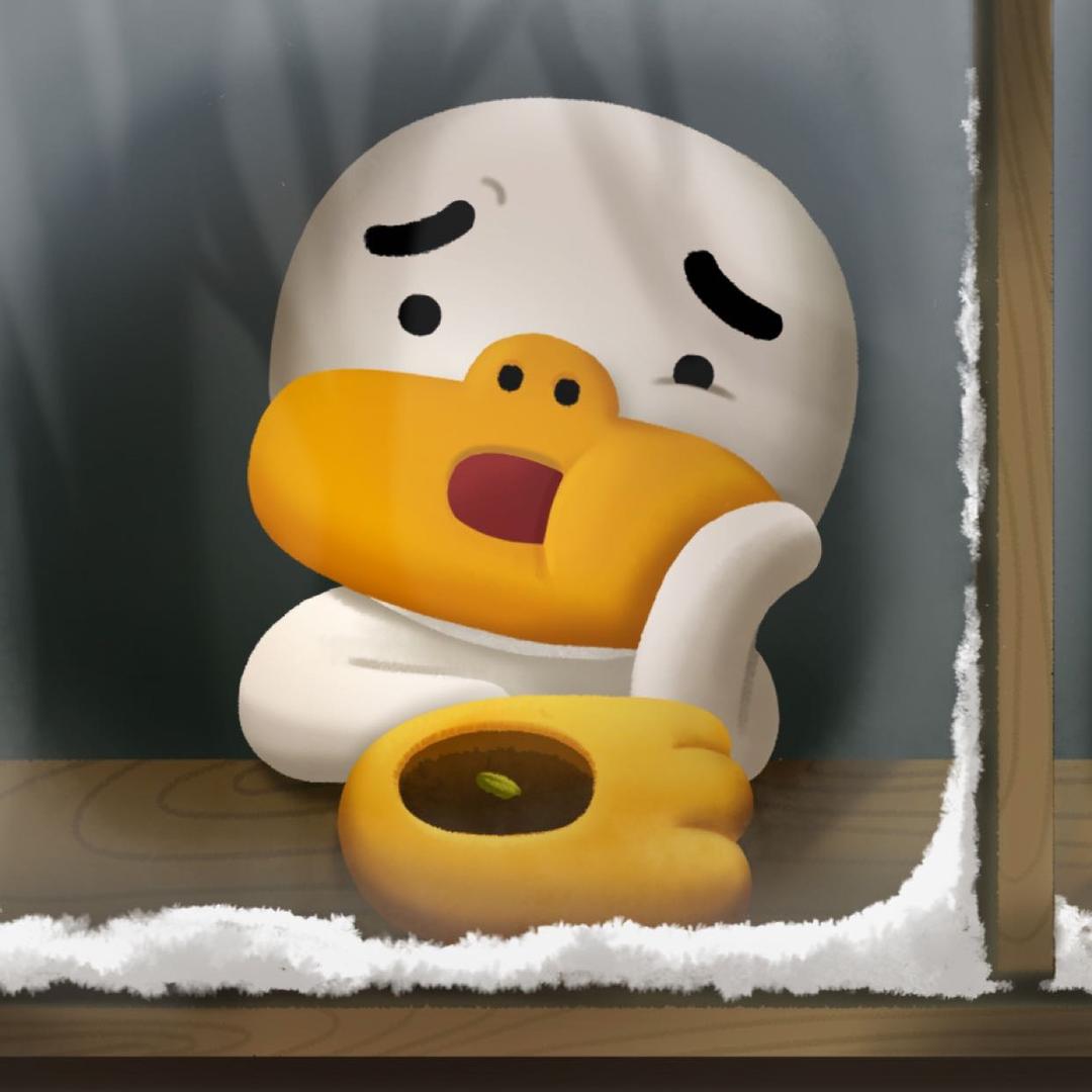 泡