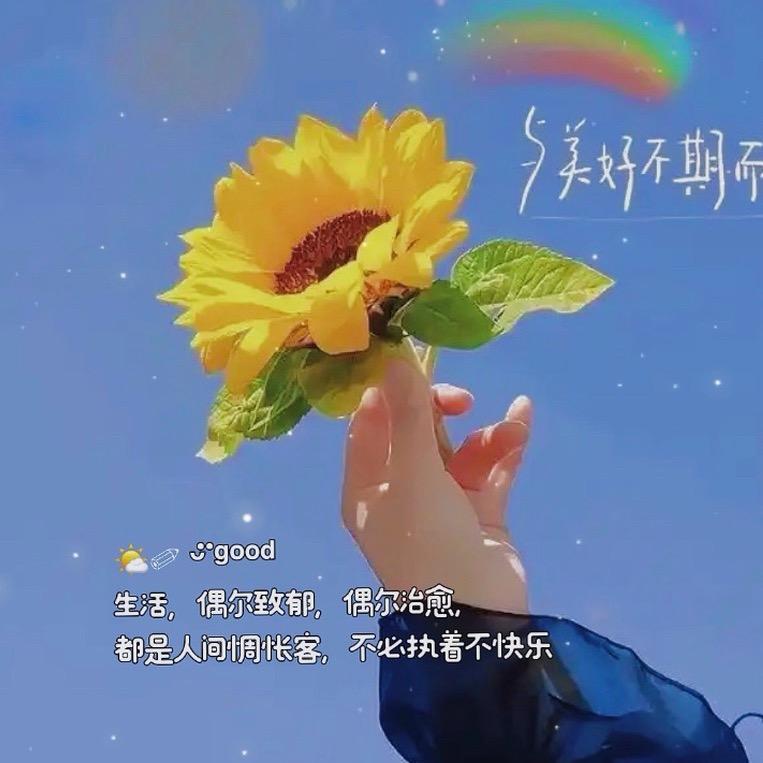 ꕥ᭄清风💞晚离人ꦿᩚ࿐