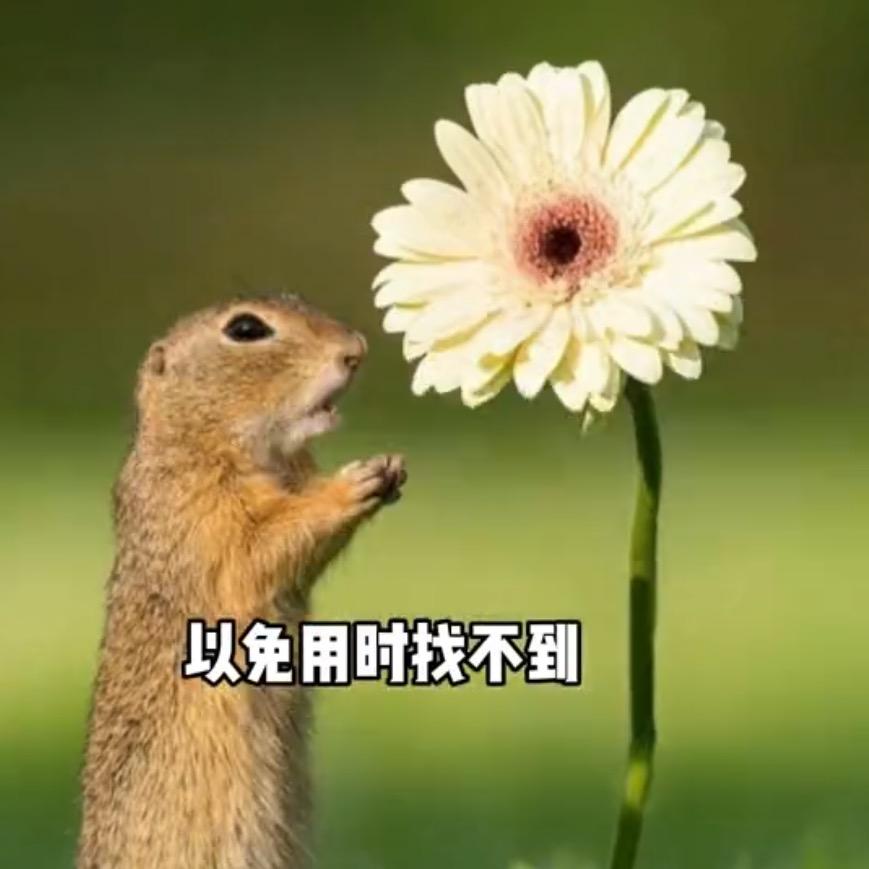 紫桃慕瑶（拒绝私聊）