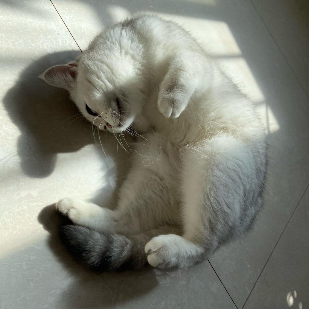 圖鹵圖鹵