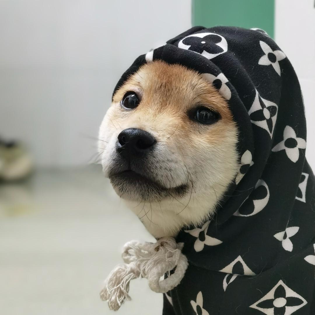 多嘉香菜