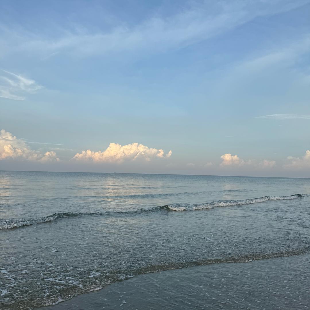 摆烂小🐟