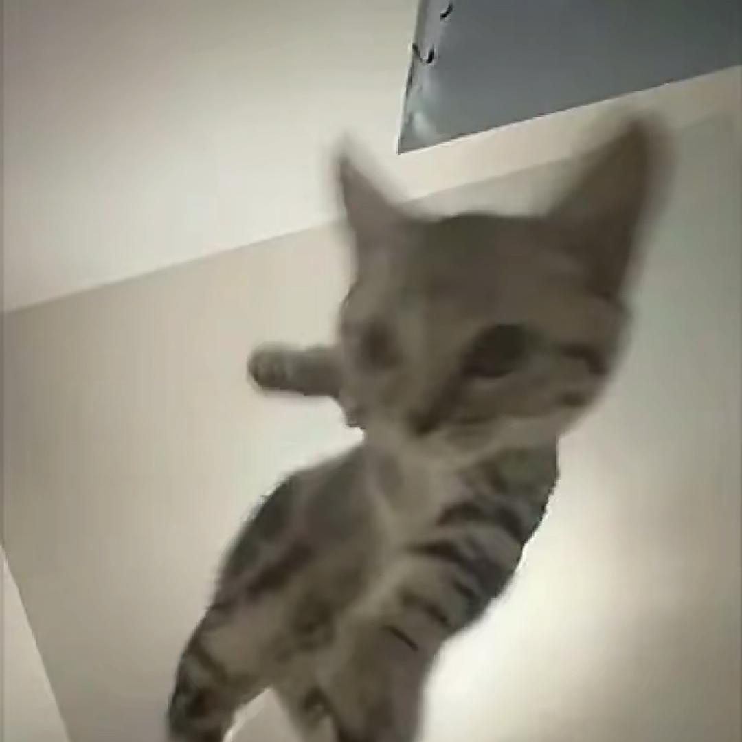 的。