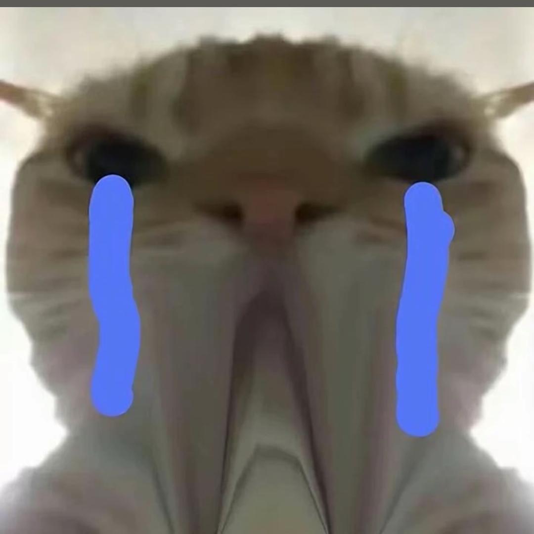 大臭猫（地铁逃生）