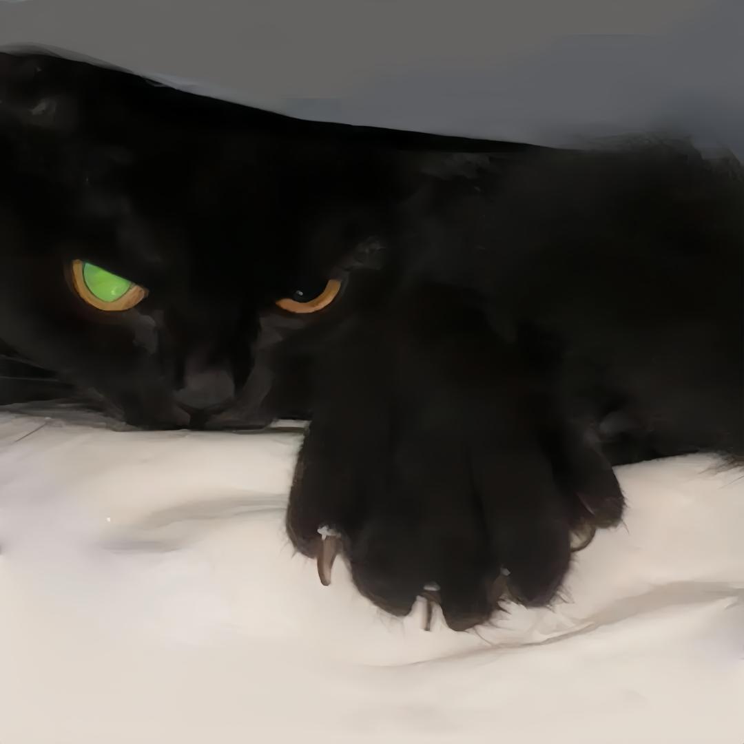 007.