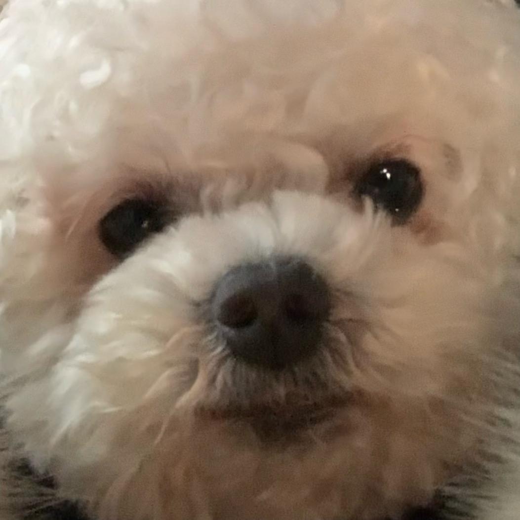 晚晚的姐姐