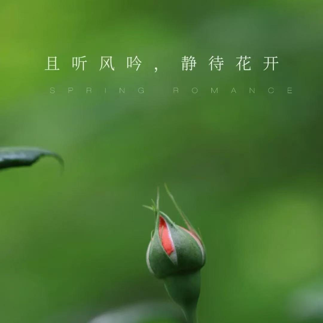 玮