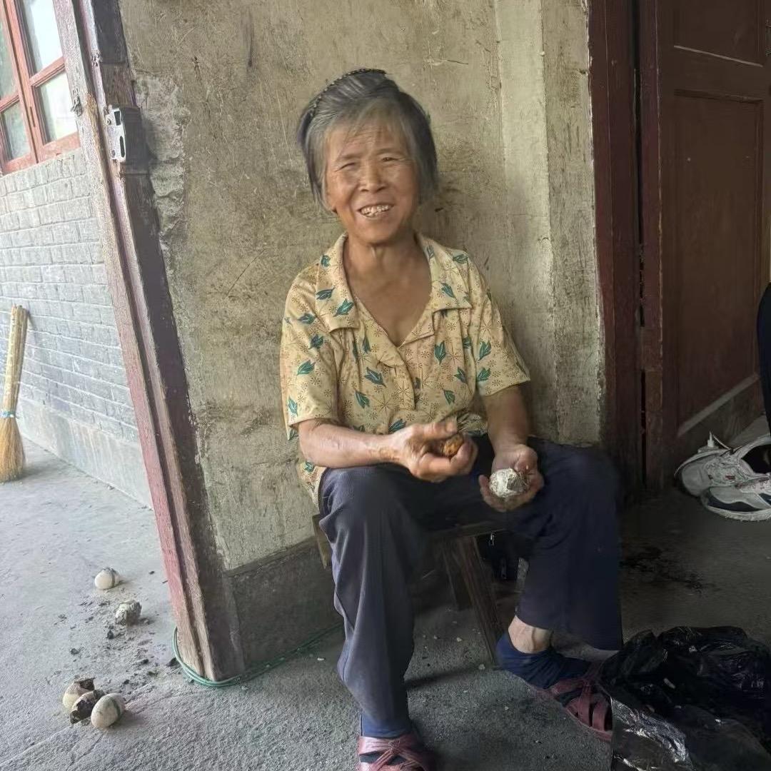 湘黔杨婆婆民间实战派