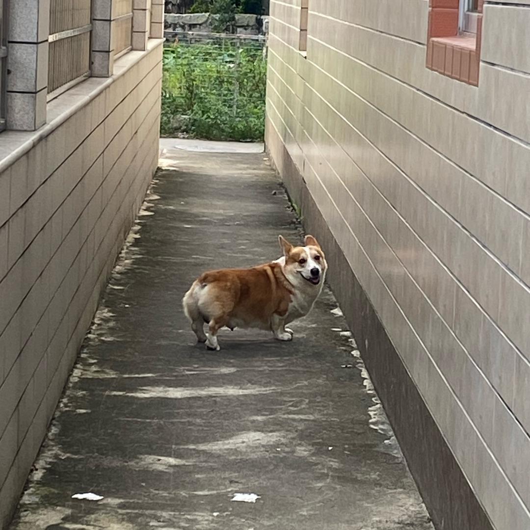 moki
