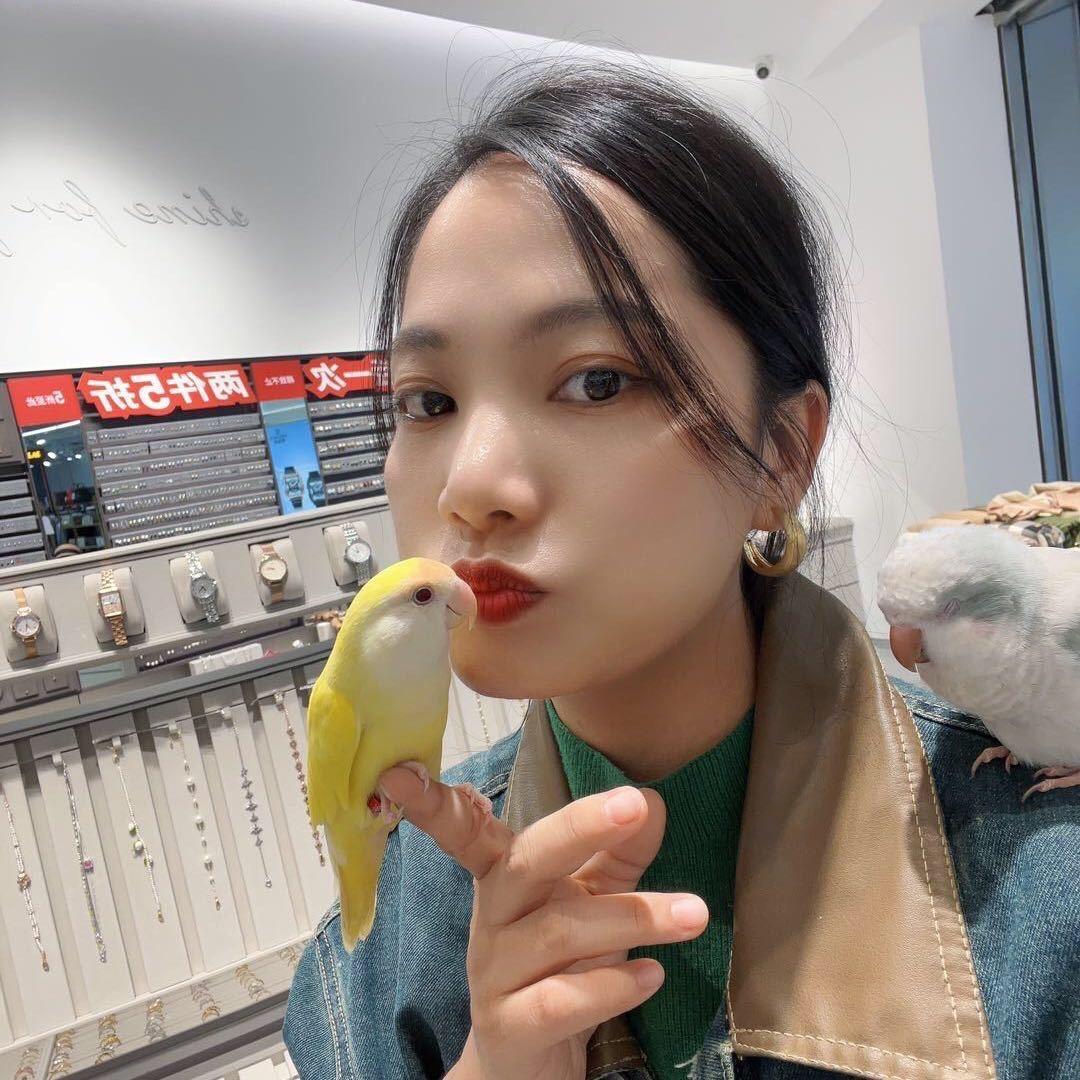 芳祯爱鹦鹉