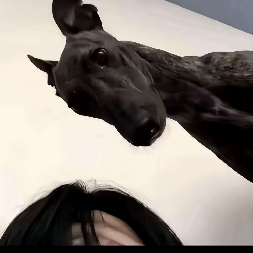 忧郁的皇帝