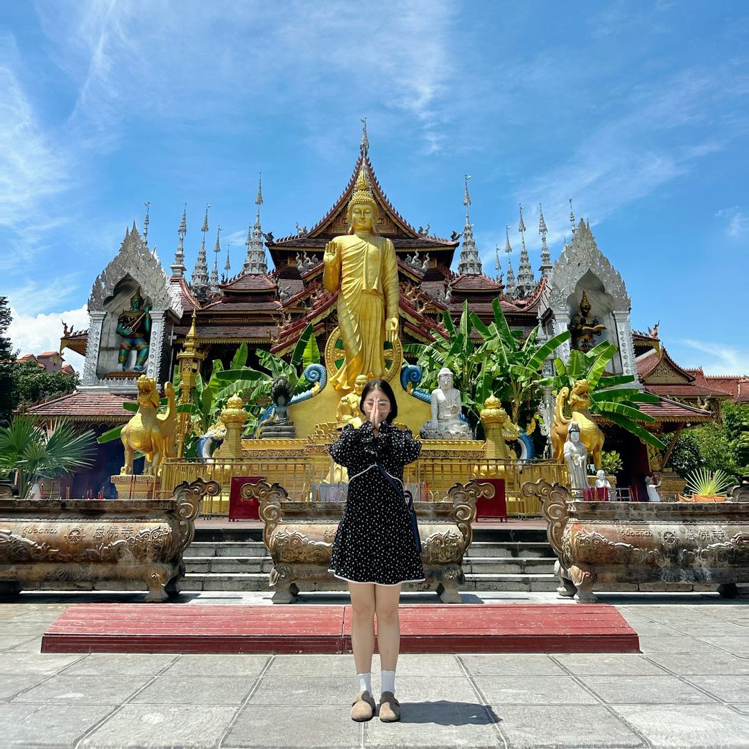 阿伶到处走🐘🌴