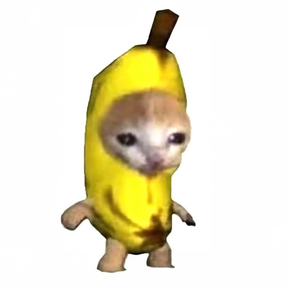 不拿那猫