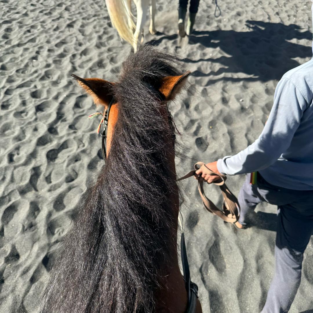 海纳百川.