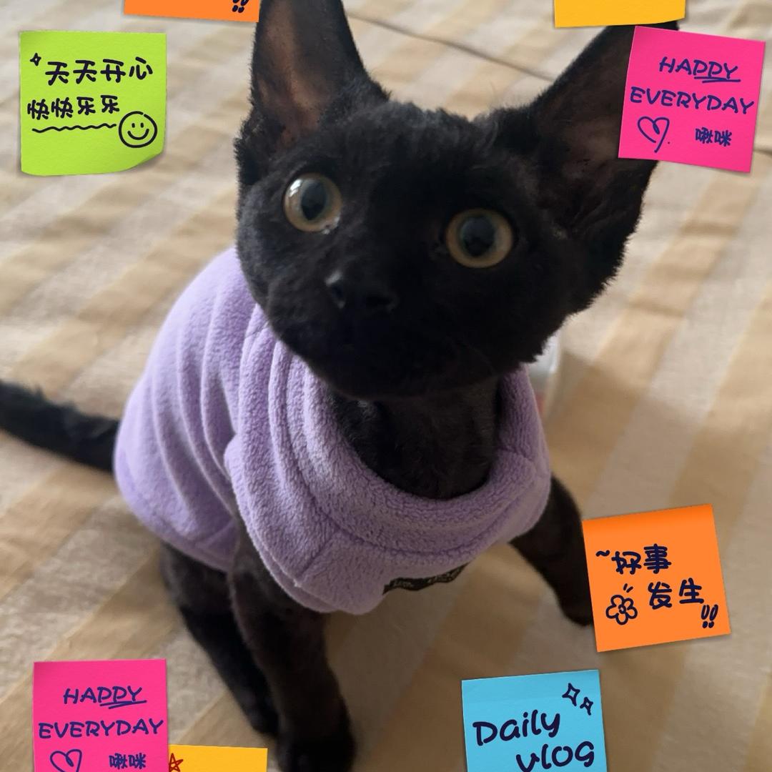 愛i
