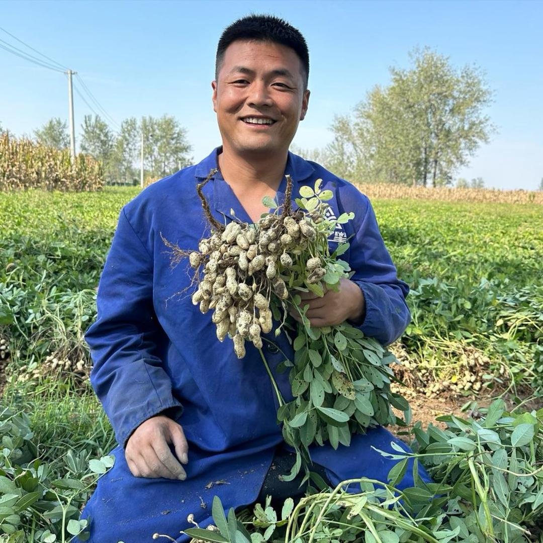 豫上小永(农产品)