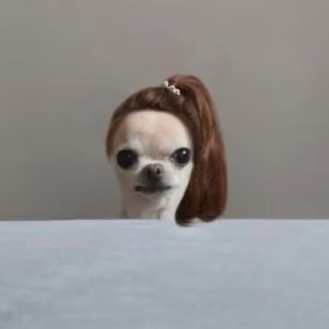 椰椰