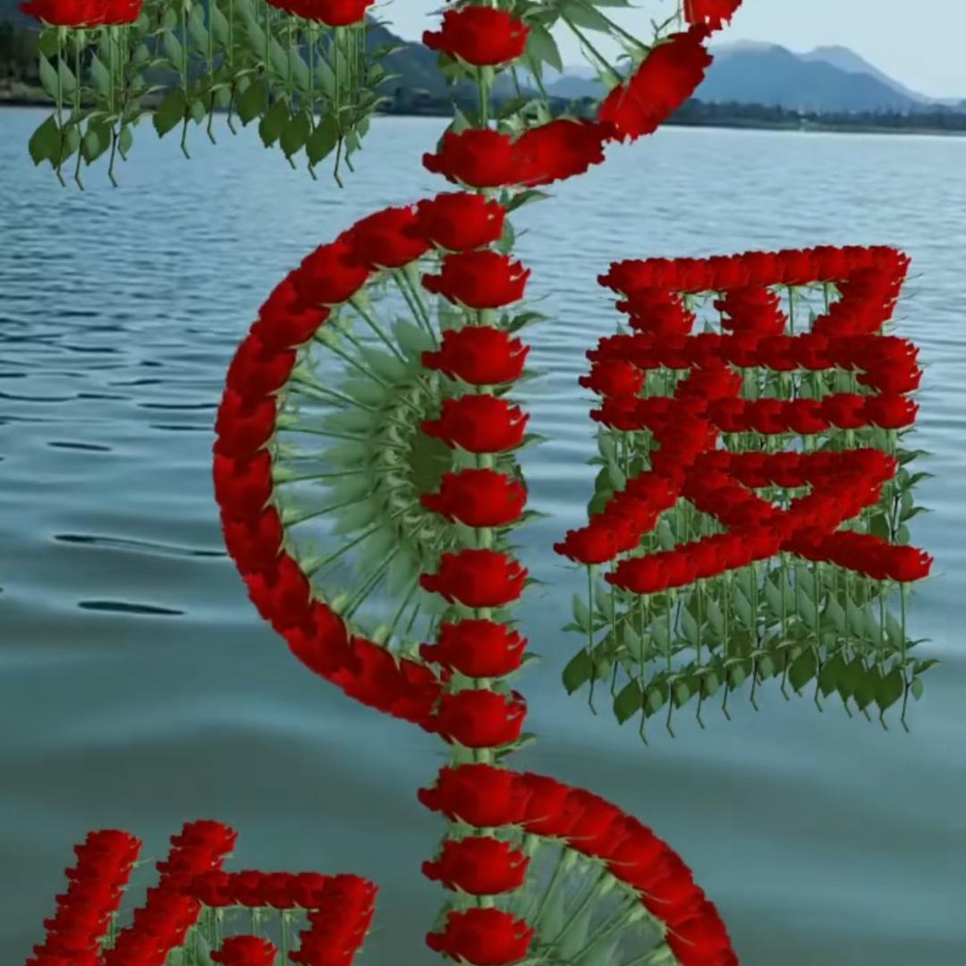 林哥的家常