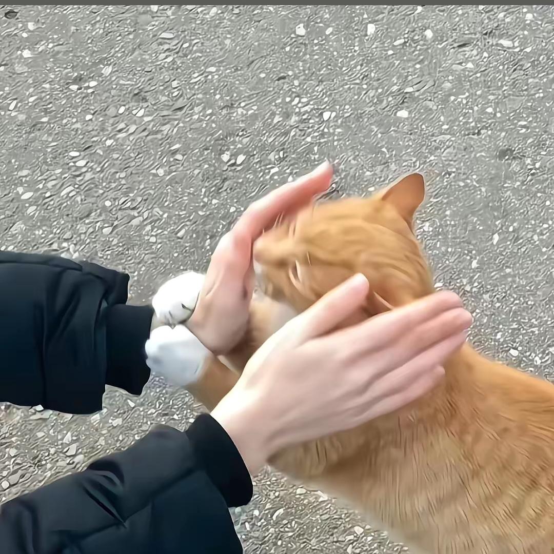 今天吃三菜一汤