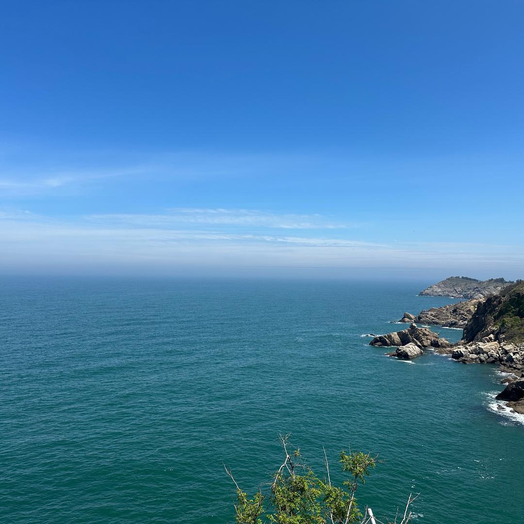 海洋甄选
