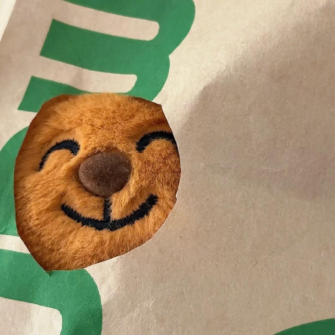 尔尔