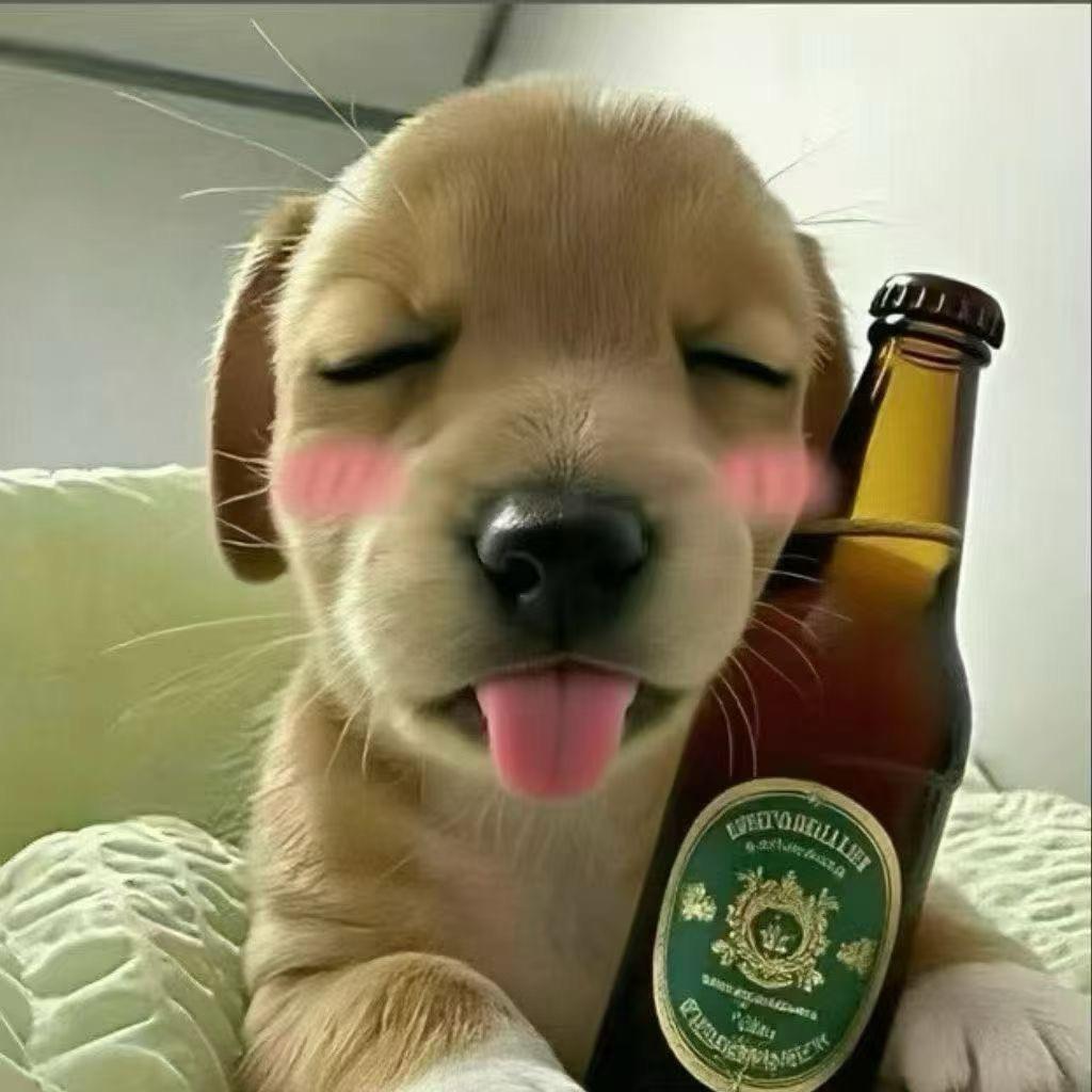 白日梦·
