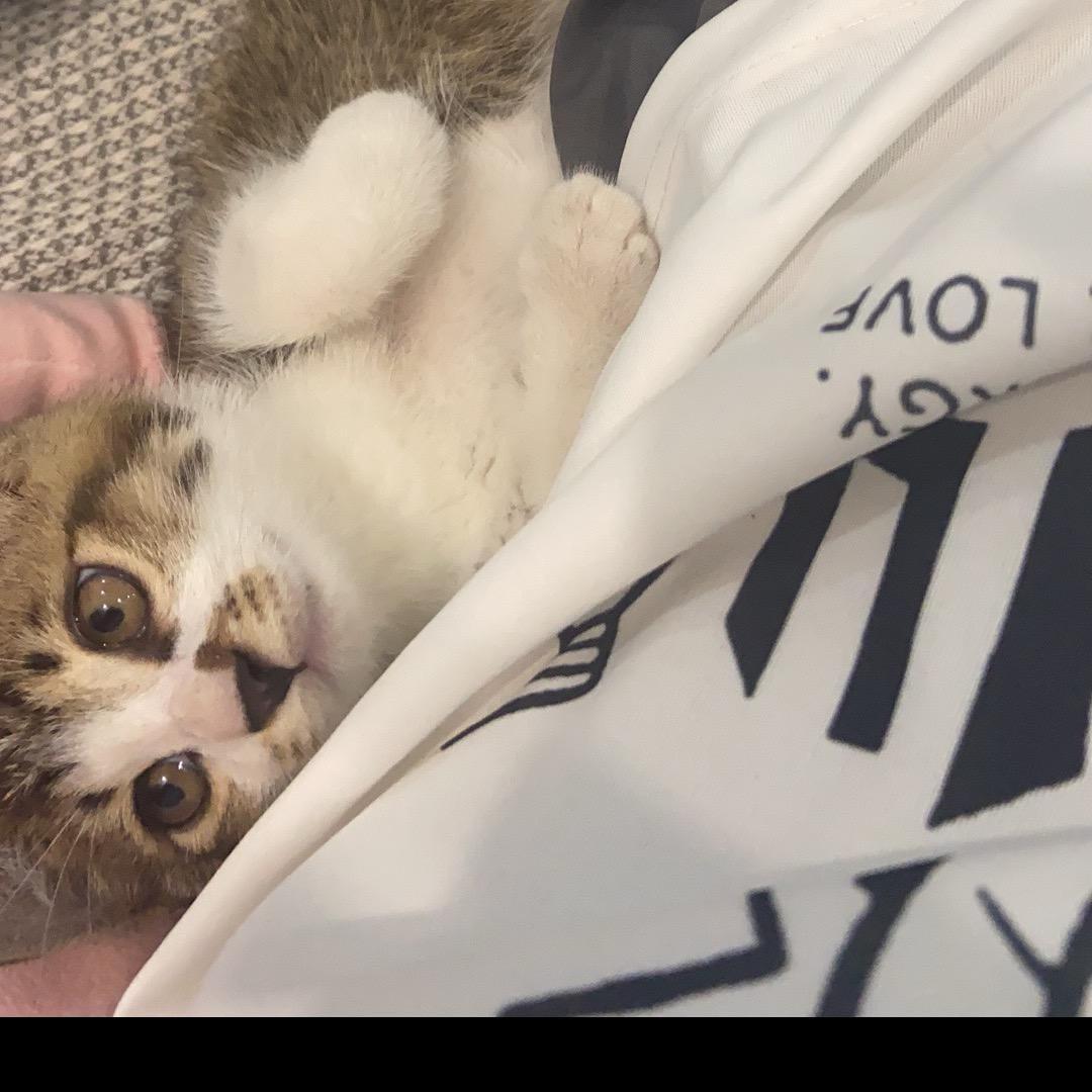 兮璃