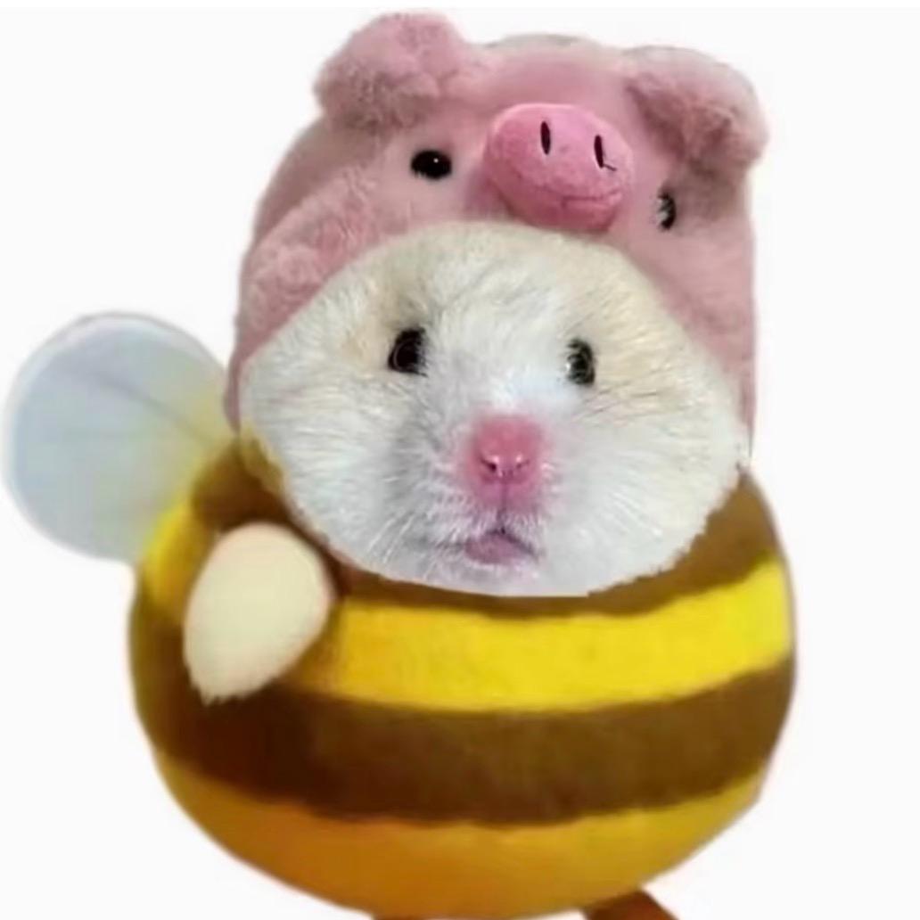 𝙈𝙚𝙤𝙧𝙤𝙡𝙡°