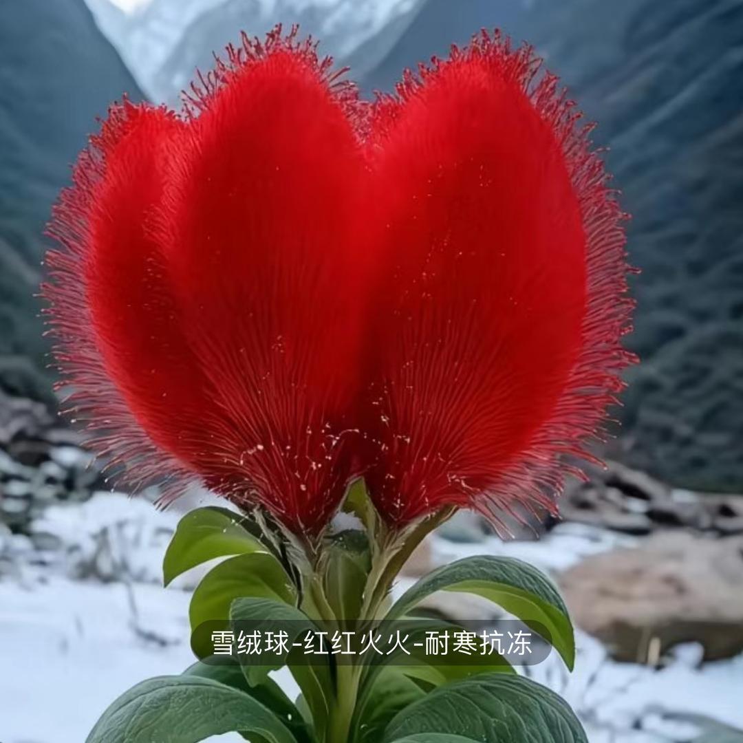 老郭，一生有你