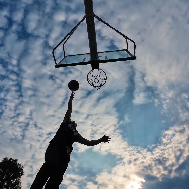 YANG🏀