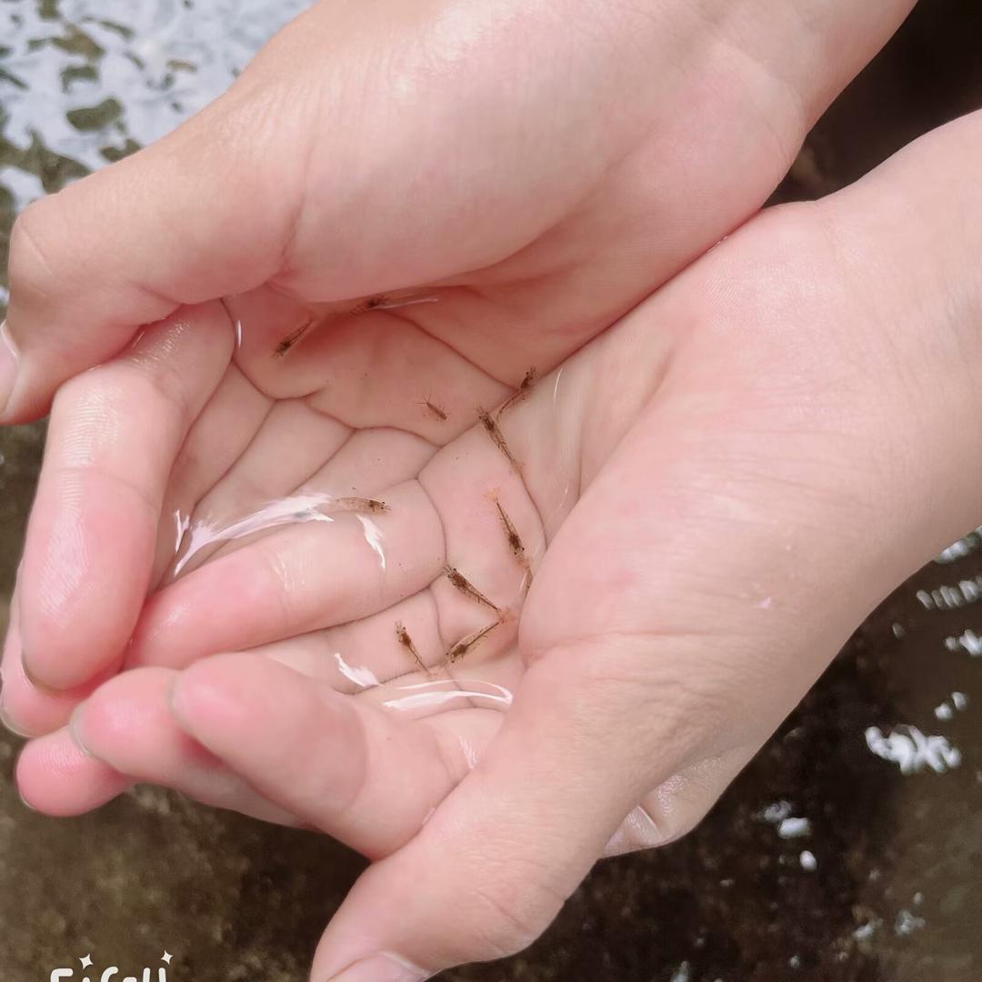 ۵🥀琴᭄໌ᮨ້࿐