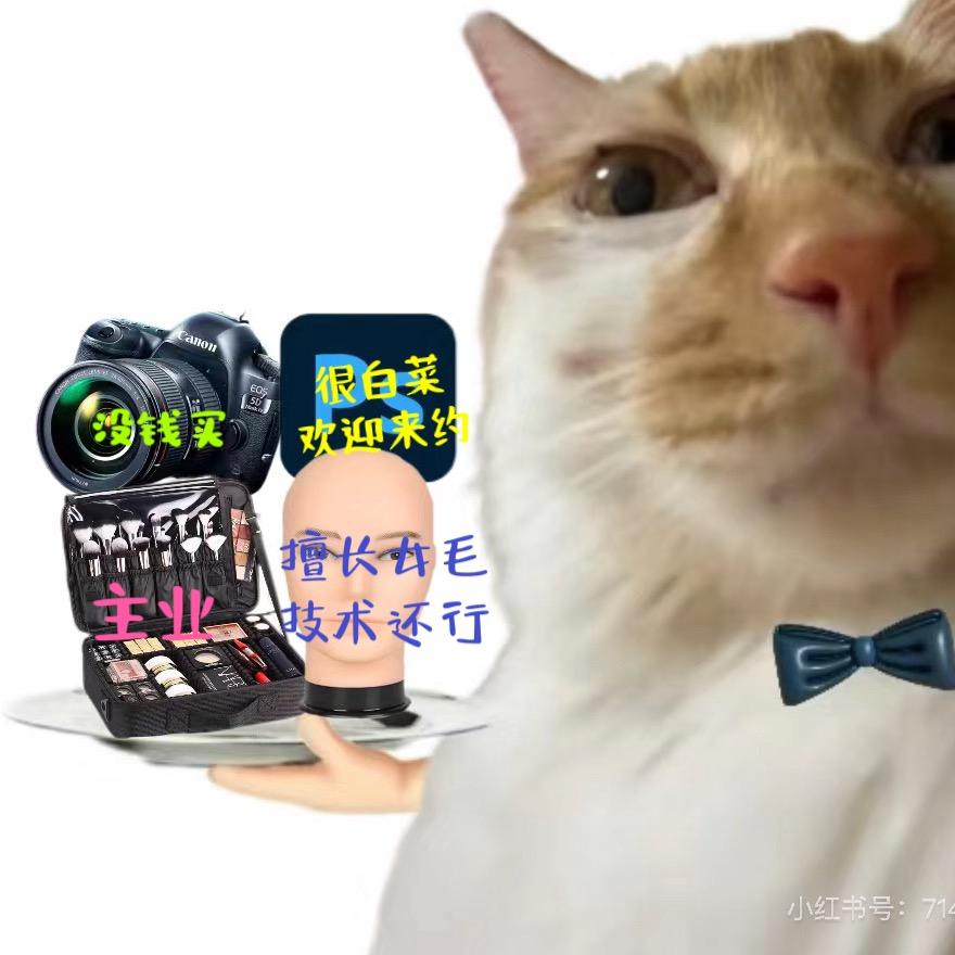 安安酱