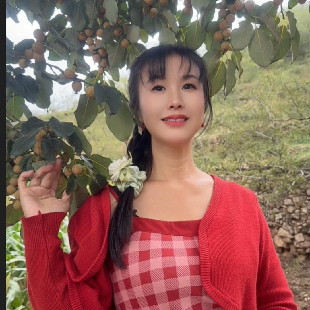 阿姐涉县黑枣供应